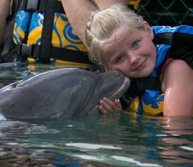Juliette — Dolphin Discovery, décembre 2012