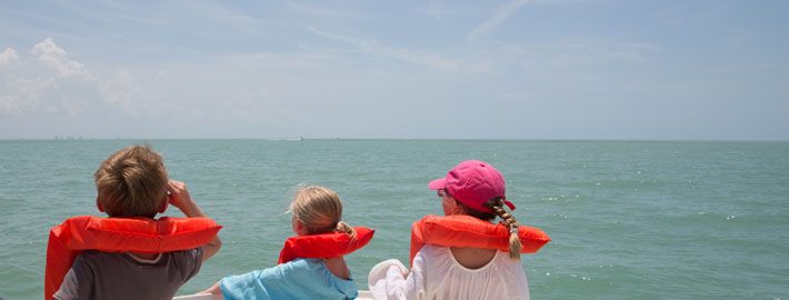 A la recherche des dauphins.